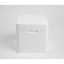 SOLUTION ISOTHERME ECONOMIQUE FRAIS 8L (LOT DE 12)