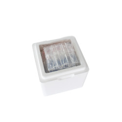 SOLUTION ISOTHERME ECONOMIQUE FRAIS 8L (LOT DE 12)