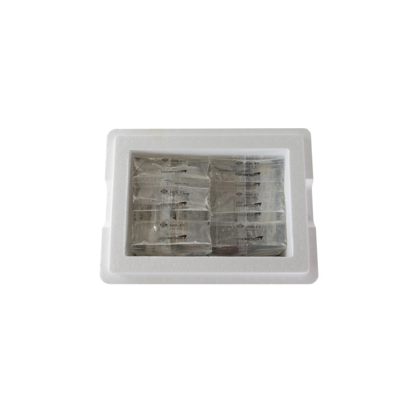 SOLUTION ISOTHERME ECONOMIQUE FRAIS 18L (LOT DE 6)