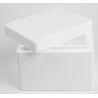 SOLUTION ISOTHERME ECONOMIQUE FRAIS 14L (LOT DE 9)