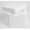 SOLUTION ISOTHERME ECONOMIQUE FRAIS 8L (LOT DE 12)