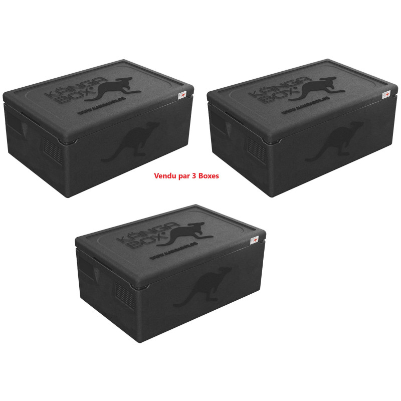 KÄNGABOX EXPERT GN 1/1 - 39L (X3)