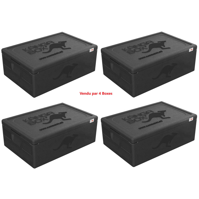 KÄNGABOX EXPERT GN 1/1 - 30L (X4)
