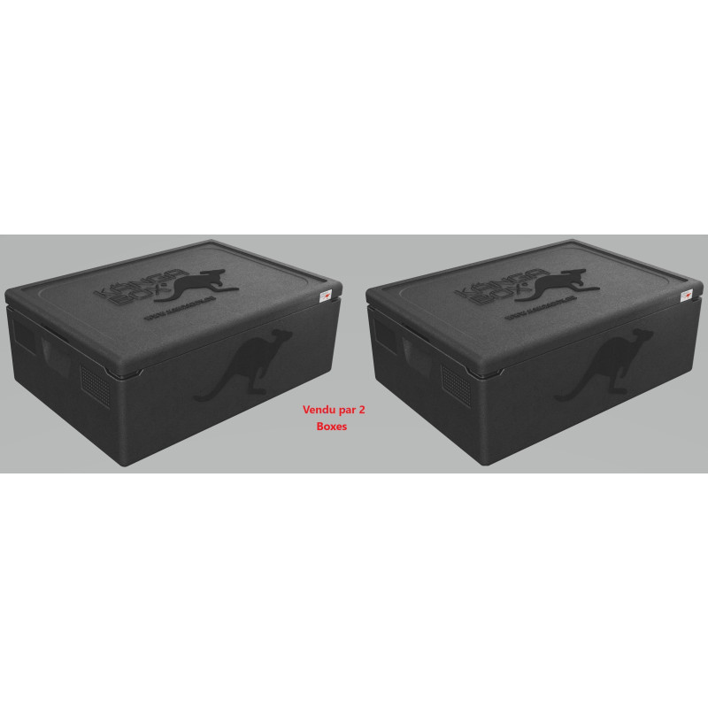 KÄNGABOX EXPERT 60x40 - 68x48 cm - 53L (X2)