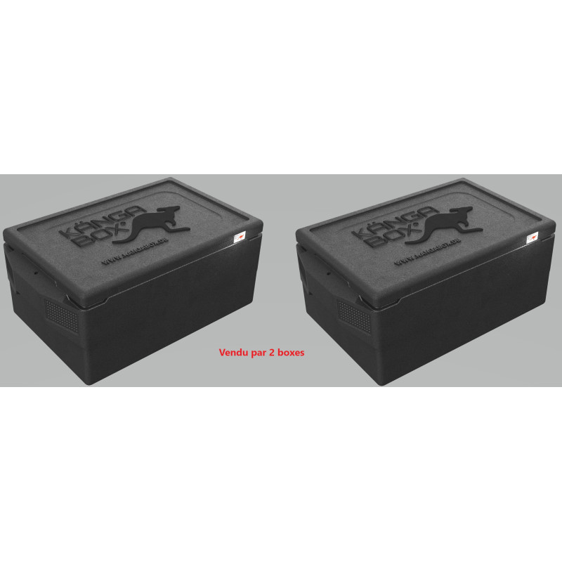KÄNGABOX PROFESSIONAL GN1/1 - 39L (X2)