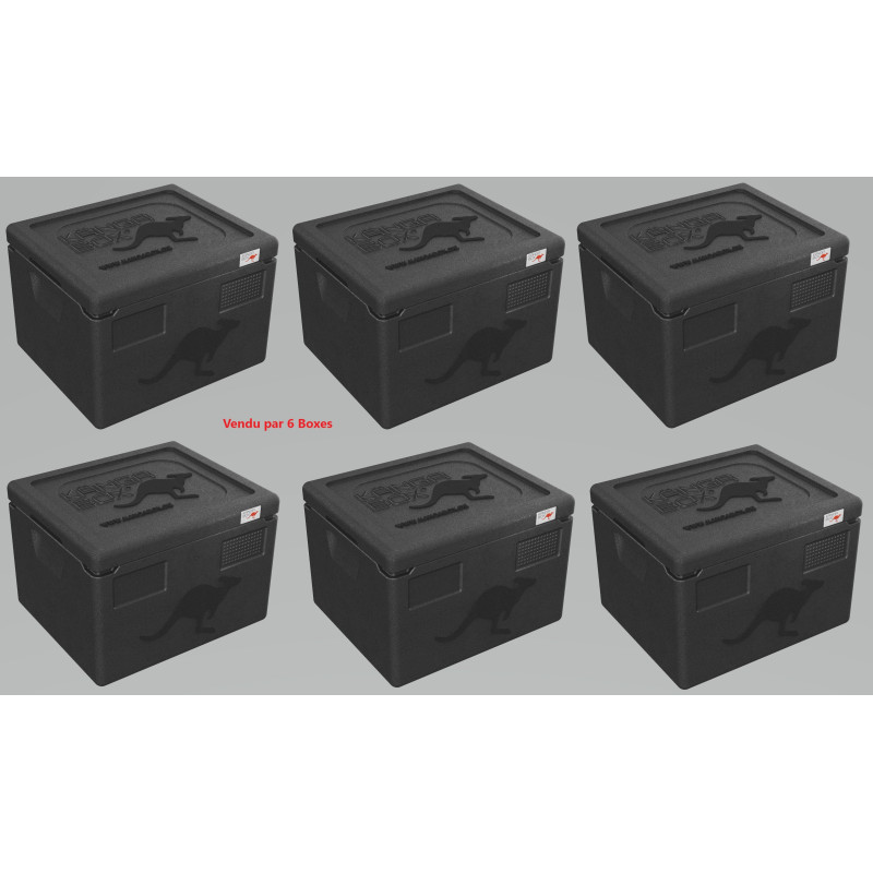 KÄNGABOX EXPERT GN 1/2 - 10L (X6)