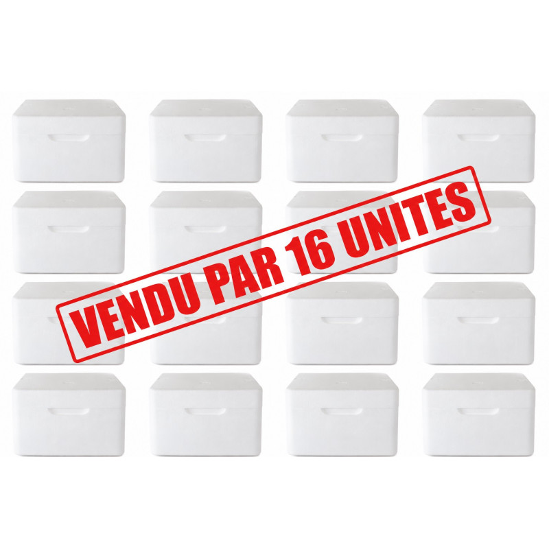 SOLUTION ISOTHERME ECONOMIQUE FRAIS 5L (LOT DE 16)