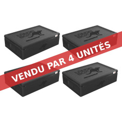 KÄNGABOX EXPERT GN 1/1 - 21L (X4)