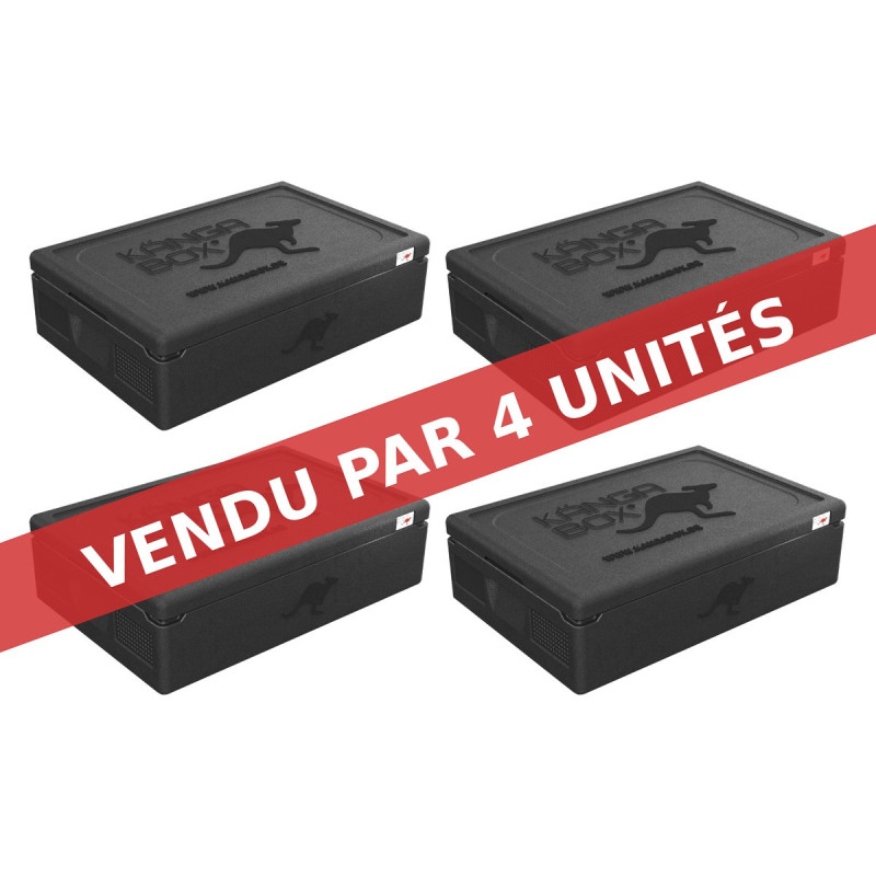 KÄNGABOX EXPERT GN 1/1 - 21L (X4)