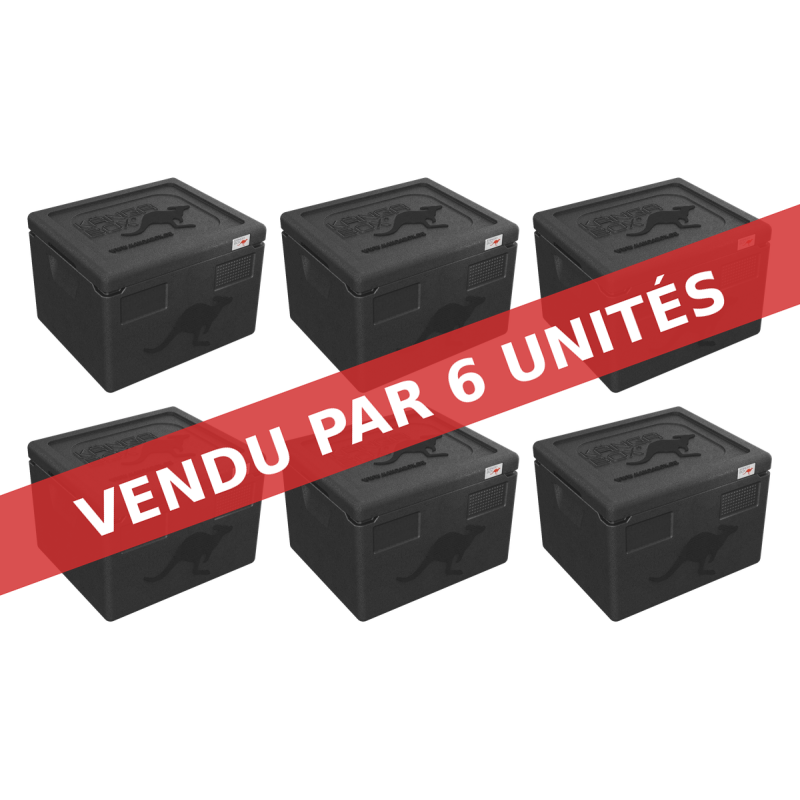 KÄNGABOX EXPERT GN 1/2 - 19L (X6)