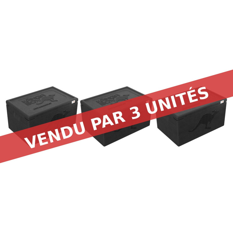 KÄNGABOX PROFESSIONAL GN1/1 - 48L (X3)