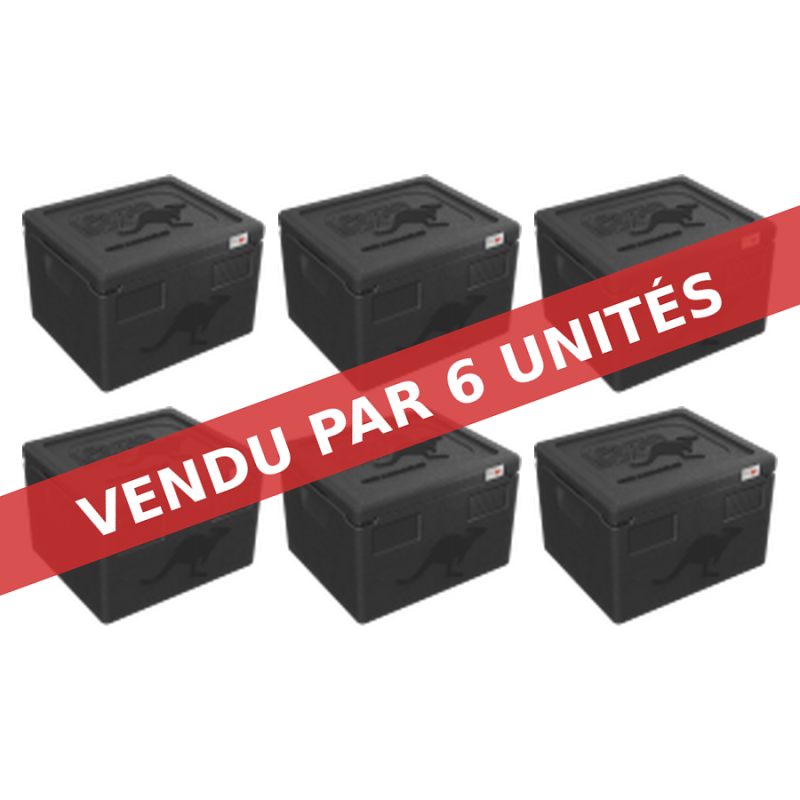 KÄNGABOX EXPERT GN 1/2 - 10L (X6)